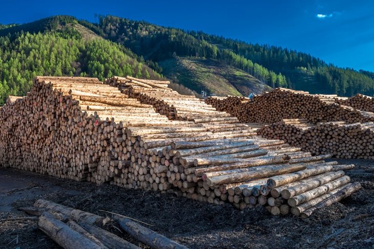 La tierra, el aire, el agua, los organismos vivos, las formaciones de la biosfera… El capital natural es el ‘stock’ o el conjunto de los bienes y servicios que nos dan los ecosistemas y que son la base de la economía y el bienestar social. El desafío ahora es medir estos activos naturales y darles un valor. El valor oculto de nuestro entorno: ¿qué es el capital natural?