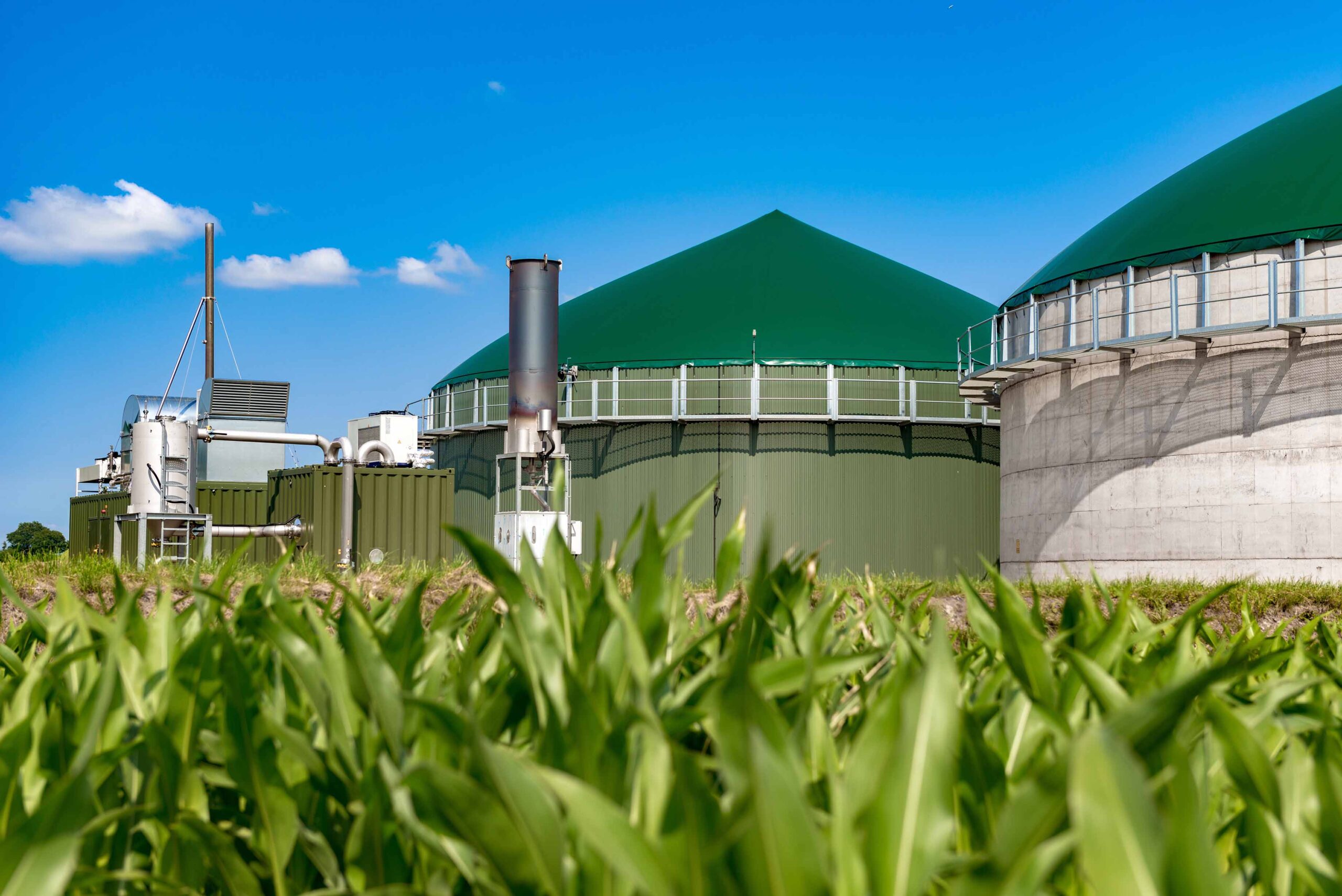 Biometano o ‘gas verde’: ¿está la salida al laberinto energético en nuestros residuos?