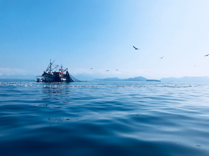 El futuro del ser humano depende de la gestión sostenible de todo lo que nos ofrece el mar, de la llamada economía azul. Además de transportar la energía solar, los océanos conectan ecosistemas y son grandes sumideros de dióxido de carbono (CO2). ¿Qué es la economía azul y cuáles son sus características? Lo que el mar ofrece