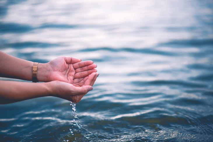 El futuro del ser humano depende de la gestión sostenible de todo lo que nos ofrece el mar, de la llamada economía azul. Además de transportar la energía solar, los océanos conectan ecosistemas y son grandes sumideros de dióxido de carbono (CO2). ¿Qué es la economía azul y cuáles son sus características? Lo que el mar ofrece