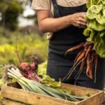 productores-sostenibles-BBVA productores-sostenibles-BBVA