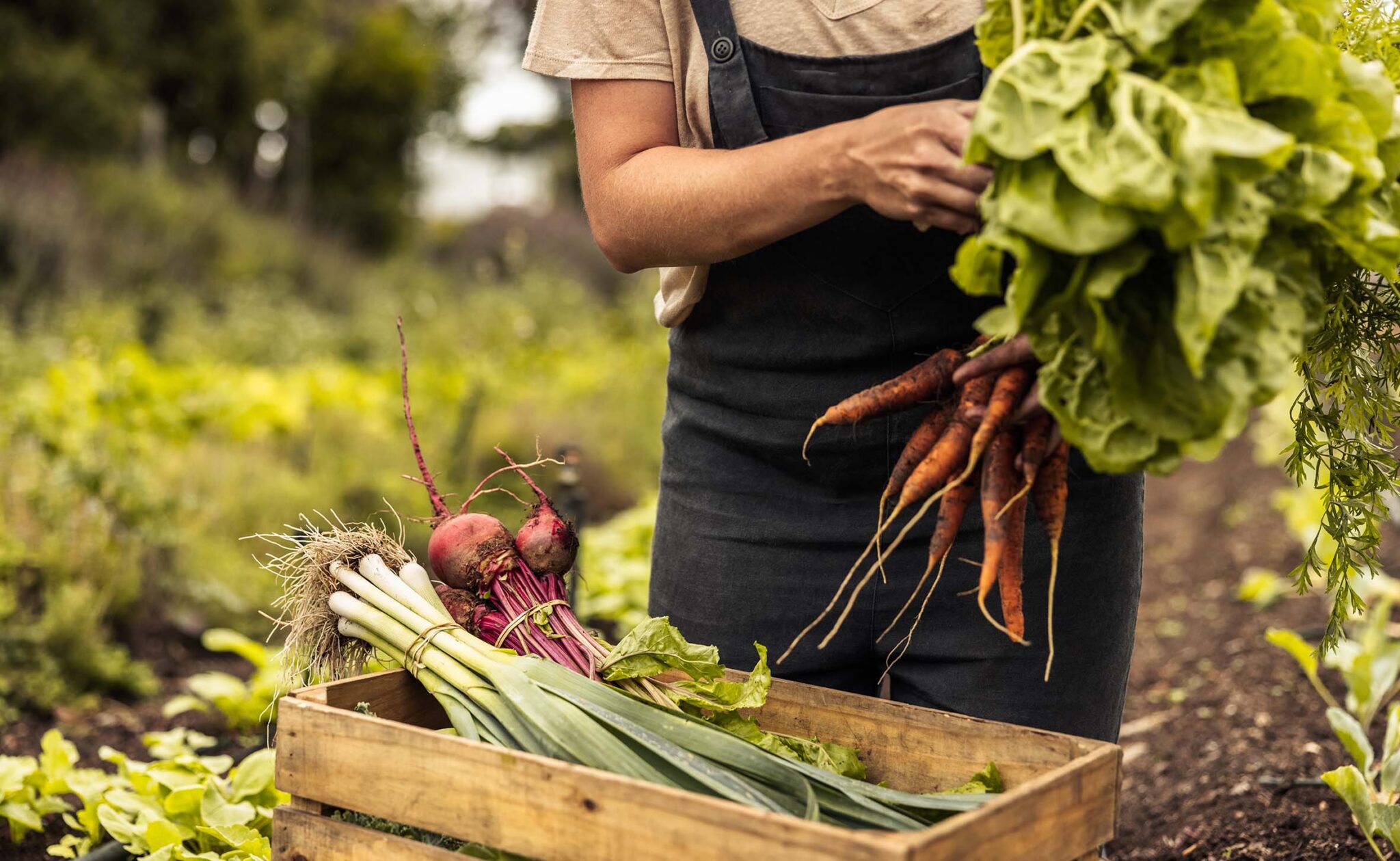 productores-sostenibles-BBVA productores-sostenibles-BBVA
