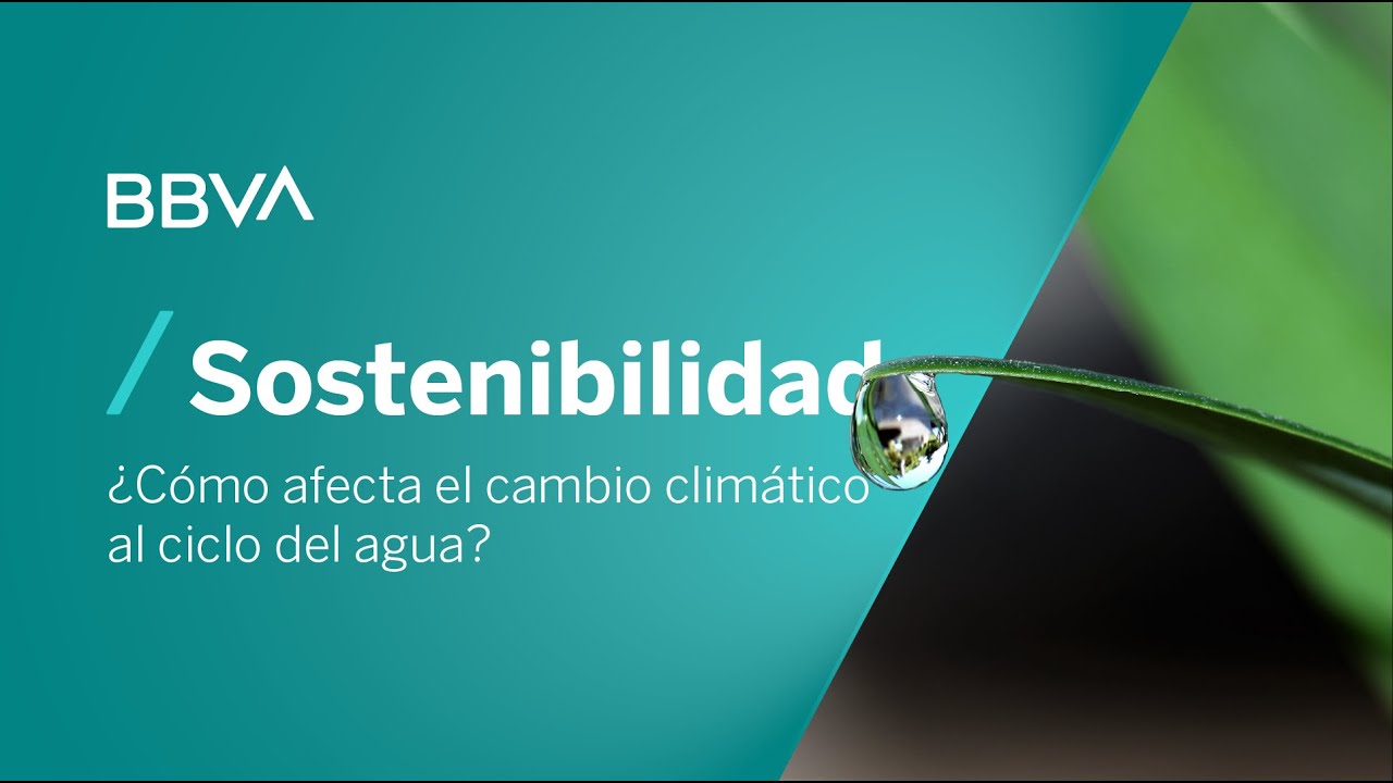 Ciclo Del Agua Presentacion Power Point Infoupdate Org