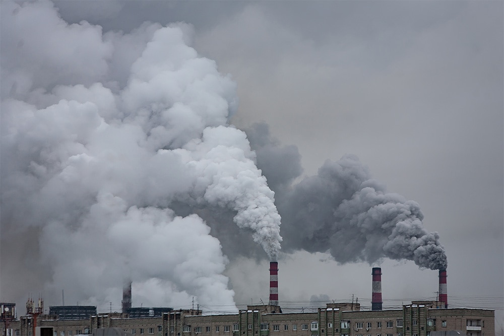 ¿Cómo puedo compensar mi huella de carbono? El camino hacia la neutralidad ¿Cómo puedo compensar mi huella de carbono? El camino hacia la neutralidad
