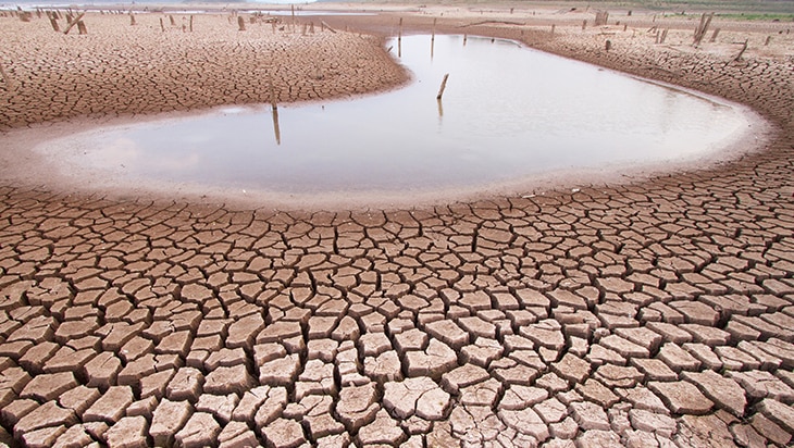 BBVA te ofrece la oportunidad de ahondar más sobre
las migraciones climáticas en este monográfico de descarga gratuita. ¿Cuáles son las consecuencias de las migraciones climáticas?