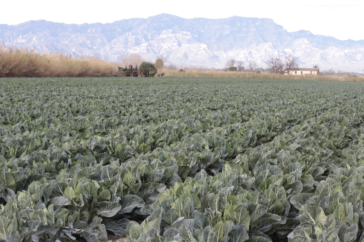 Agroparc Penedès: 258 hectáreas de producción y filosofía más allá de la economía circular