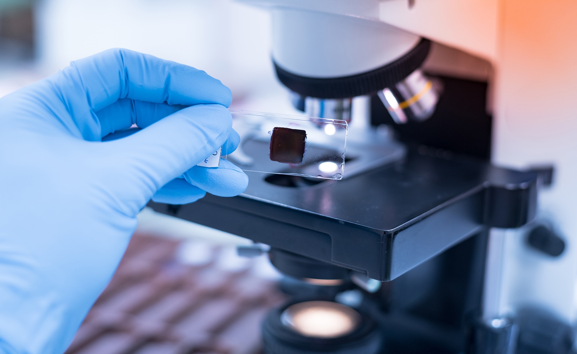 Videonoticia AJ 2030: Vídeo | Así influye la vocación y la dedicación en la investigación científica contra el cáncer