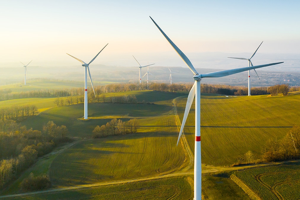 ¿Qué son los créditos de carbono? Hacia un mercado global de emisiones ¿Qué son los créditos de carbono? Hacia un mercado global de emisiones