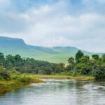 El 'otro' Amazonas: ¿por qué tenemos que prestar más atención a la cuenca del Congo?