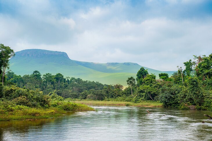 El 'otro' Amazonas: ¿por qué tenemos que prestar más atención a la cuenca del Congo? El 'otro' Amazonas: ¿por qué tenemos que prestar más atención a la cuenca del Congo?