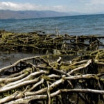 Monkey River: el pueblo que lucha para que no se lo trague el mar