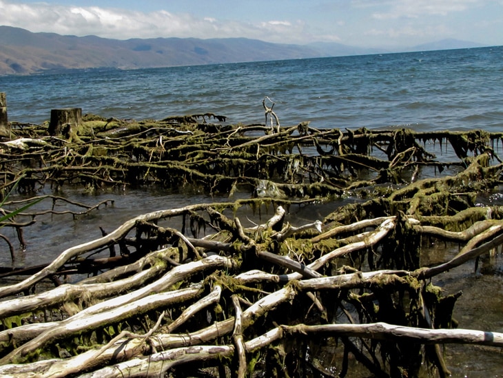 Monkey River: el pueblo que lucha para que no se lo trague el mar Monkey River: el pueblo que lucha para que no se lo trague el mar