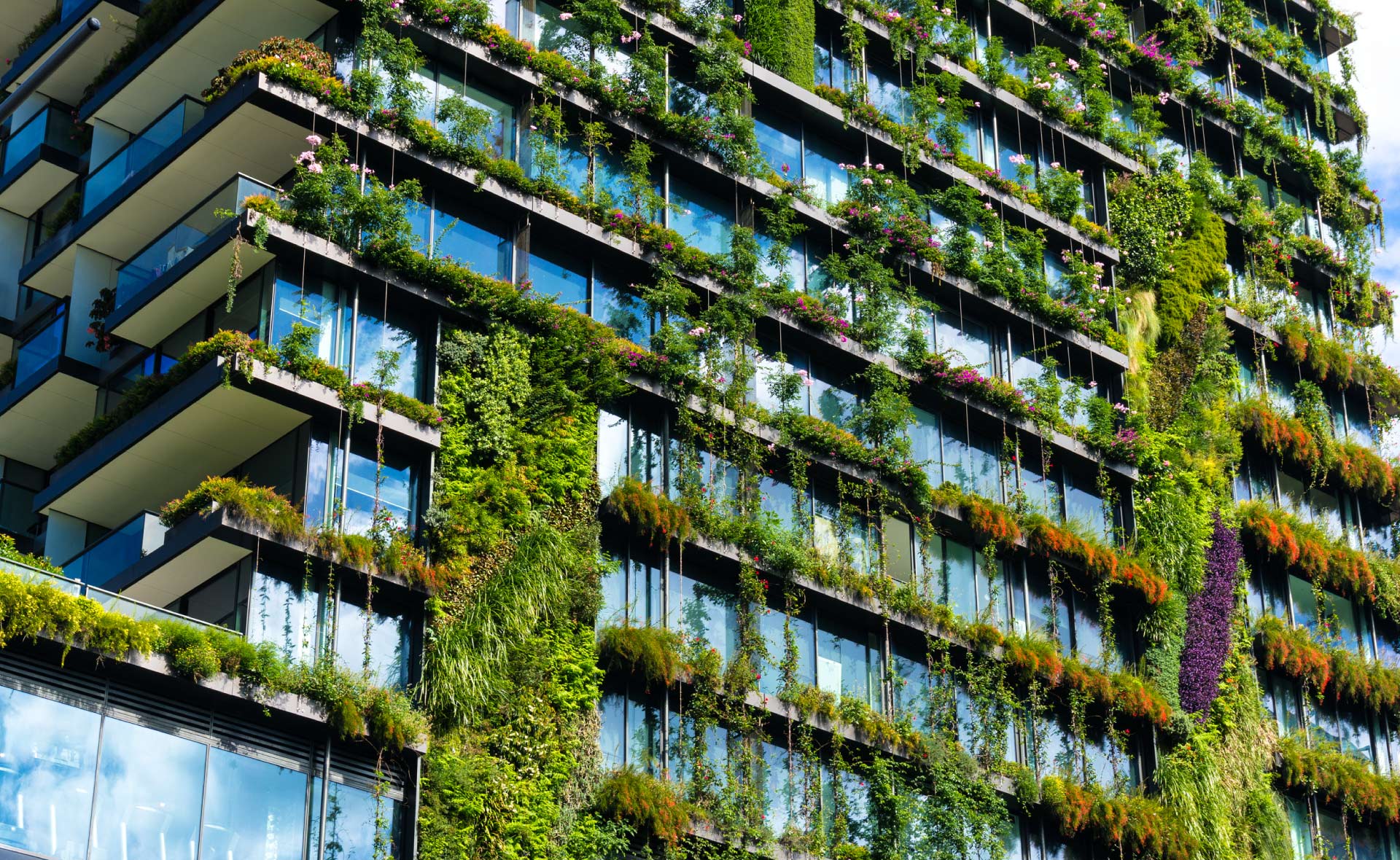 ¿Qué es la arquitectura biofílica? ¿Qué es la arquitectura biofílica?