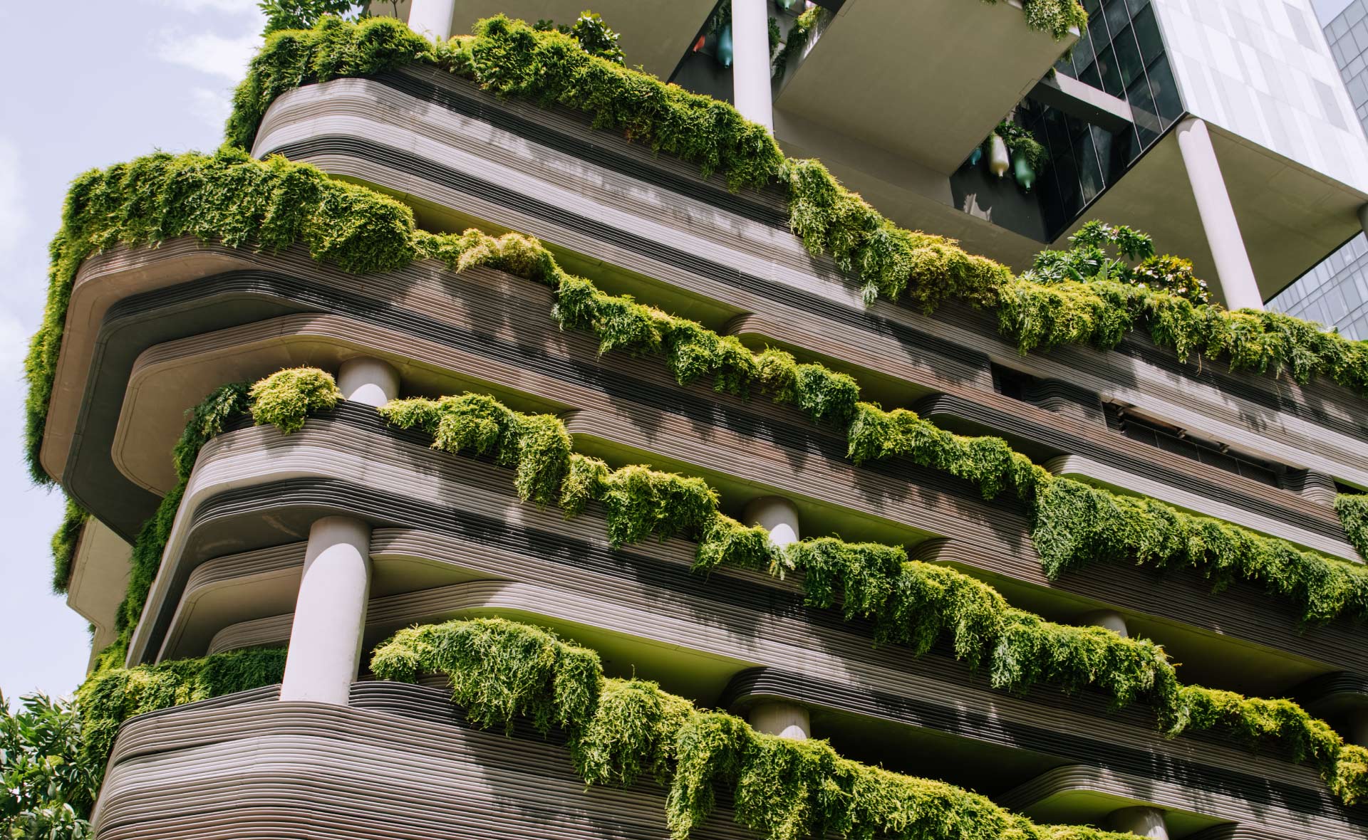¿Qué es la arquitectura biofílica?