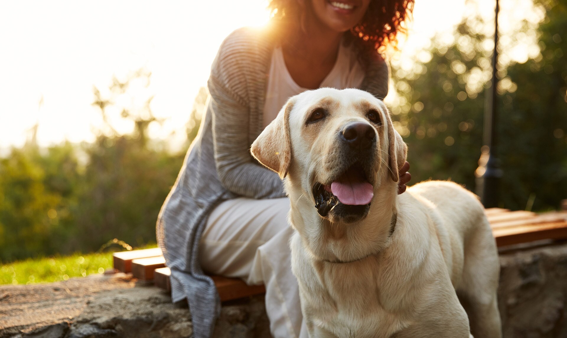 ¿Cuánto cuesta mantener un perro en España y qué cuidados necesita? ¿Cuánto cuesta mantener un perro en España y qué cuidados necesita?