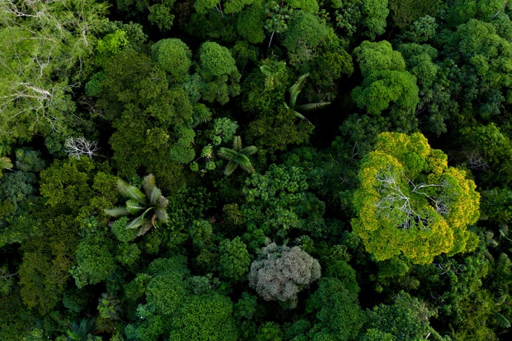 Biodiversidad: Estos son los seres más solitarios del planeta Biodiversidad: Estos son los seres más solitarios del planeta