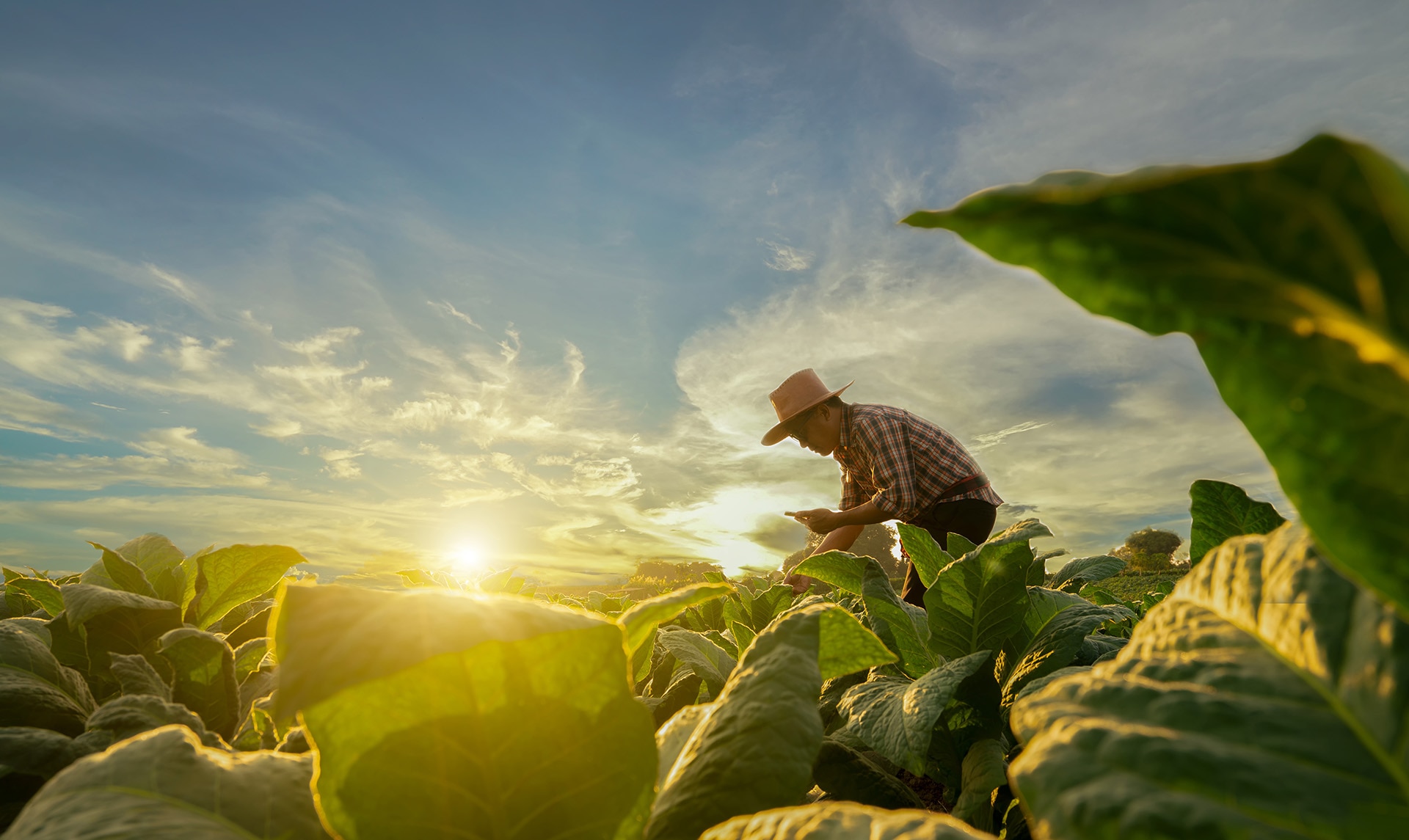 https://www.bbva.com/wp-content/uploads/2023/04/emprendimiento-rural-sostenibilidad-bbva.jpg
