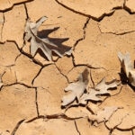 ¿Qué están haciendo los países para combatir la sequía?