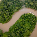 Zonas biodiversamente ricas