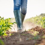 BBVA lanza un préstamo para que agricultores y ganaderos puedan paliar los efectos económicos de la sequía en España