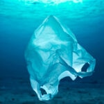 7.000 millones de toneladas de residuos: ¿Qué hacen los países del mundo con sus plásticos?