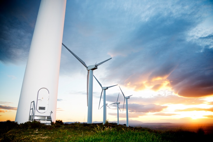 El éxito del emprendimiento sostenible: tres iniciativas innovadoras para un planeta más verde El éxito del emprendimiento sostenible: tres iniciativas innovadoras para un planeta más verde