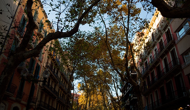 ¿Qué es un refugio climático? Espacios para protegerse de situaciones extremas ¿Qué es un refugio climático? Espacios para protegerse de situaciones extremas
