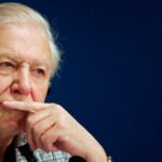 David Attenborough, el hombre que regaló su voz a la naturaleza