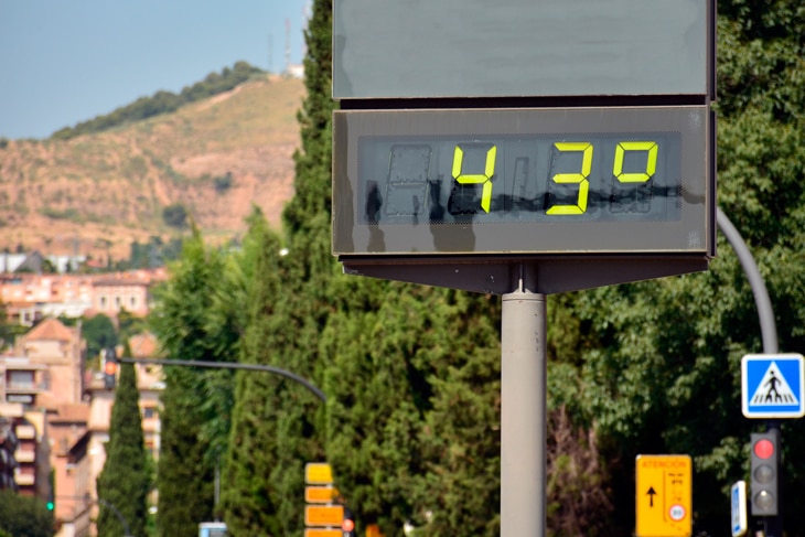 ¿Qué es el estrés térmico? Así afecta a las personas y a la biodiversidad ¿Qué es el estrés térmico? Así afecta a las personas y a la biodiversidad