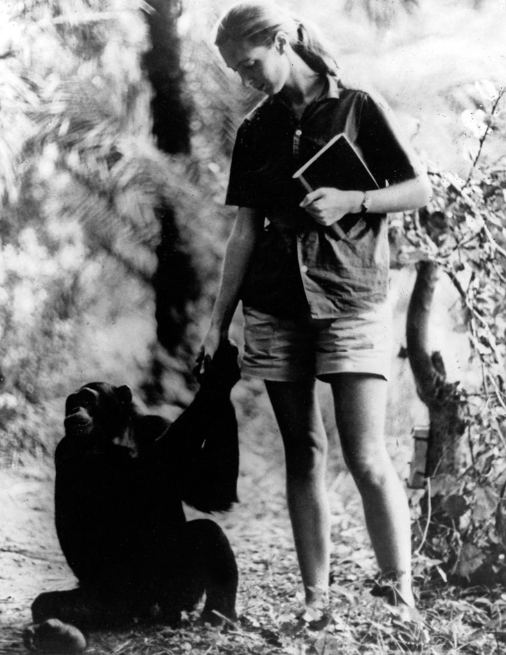 Jane Goodall y una aventura entre chimpancés que comenzó con un peluche - Agencia EFE