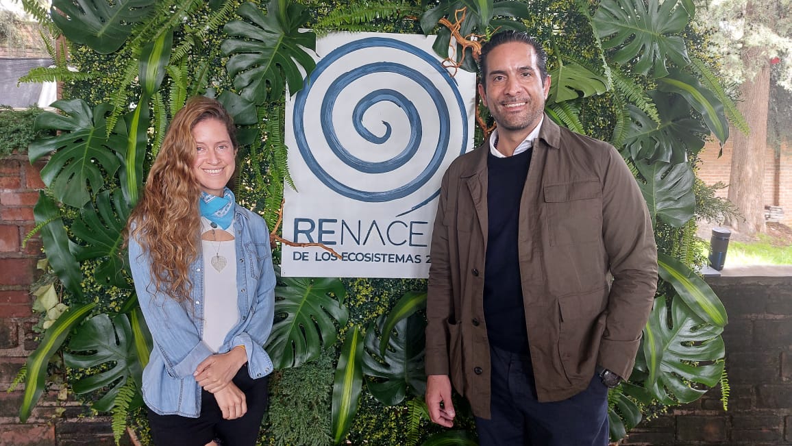Renovación Ecatgono