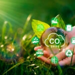 BBVA, MIT e IBM apuestan por mejorar la calidad de los créditos de compensación en los mercados de carbono