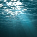 Una inmersión en el 'bluetech', tecnología para preservar la hidrosfera