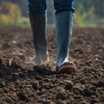 Los cambios en los usos del suelo: impactos y soluciones