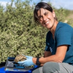 Centinelas que protegen a los anfibios y reptiles en España