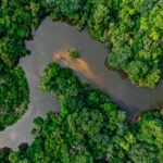 ¿Qué es el Acuerdo de Escazú? Un tratado en favor del medioambiente en América Latina y el Caribe