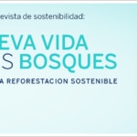 Reforestación sostenible: una nueva vida para los bosques