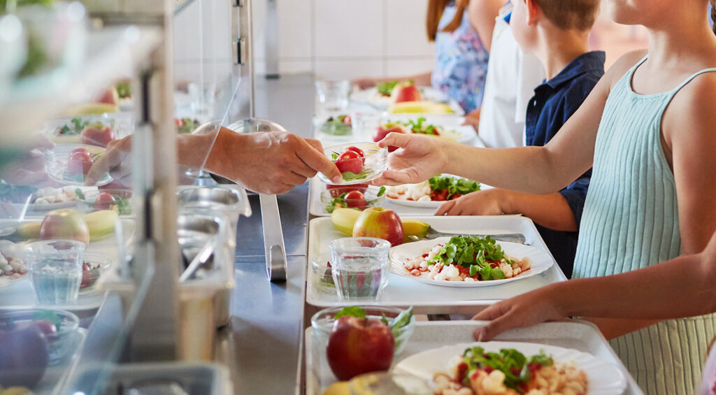 学校での教育、食品廃棄物に対する最も効果的なワクチン