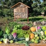 Verdcamp Fruits gana el premio extraordinario de BBVA al mejor productor sostenible de España
Verdcamp Fruits gana el premio extraordinario de BBVA al mejor productor sostenible de España
