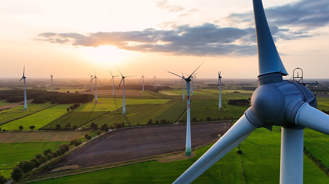 https://www.bbva.com/wp-content/uploads/2025/02/BBVA-Research-energia-renovable-precio-mayorista.jpg