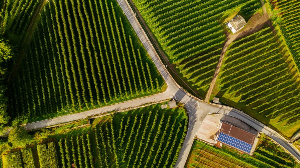 ¿Qué es un vino sostenible? Cuando las buenas prácticas se notan