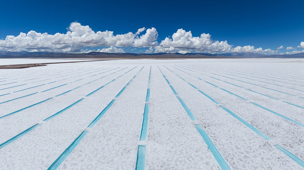 Exploring the Cleantech Ecosystem: From Advanced Maturity to Low Maturity Solutions