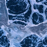 Contaminantes emergentes: efectos y posibles soluciones Contaminantes emergentes: efectos y posibles soluciones