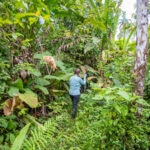 Ecoturismo comunitario en Colombia: cinco destinos para un viaje sostenible y auténtico