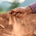 aceite-oliva-tipos-diferencias-virgen-bbva