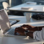 Obligaciones fiscales en México: ISR, IVA, IEPS e impuestos estatales y municipales para empresas