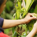 Fondos de inversión social: qué son y cómo generan impacto positivo