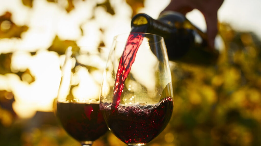 ¿Qué es el enoturismo? Cuando viajar a la cultura del vino enriquece
