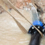 Inteligencia artificial y gestión del agua: soluciones contra el desperdicio hídrico