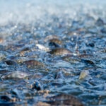 doble-materialidad-clave-competitividad-de-empresa-2